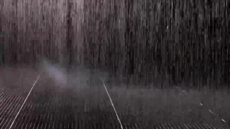 Plenthora Publishes Wearing Masks