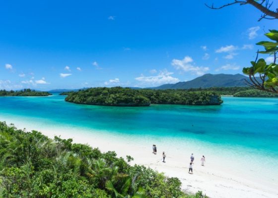 Okinawa Travel Reflections