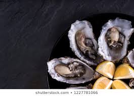 oysters