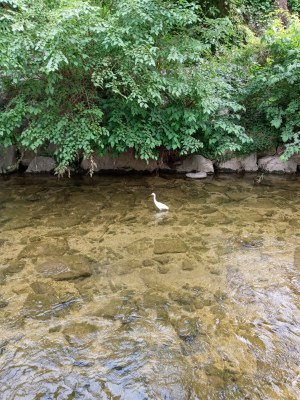 cheongjecheon streambed park