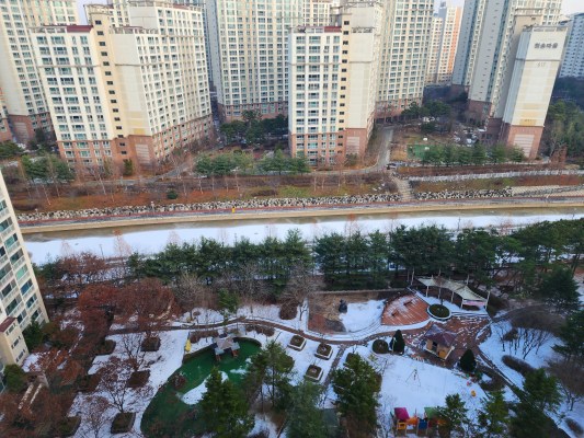 Venice in Korea More Updates