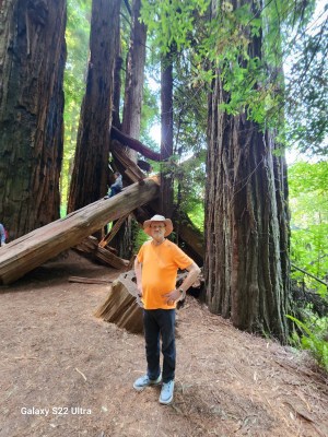 National Park Journeys