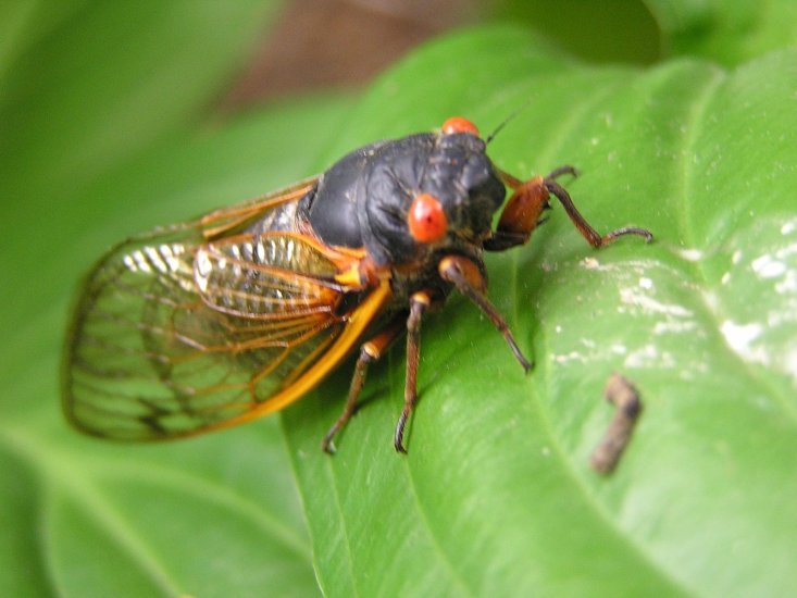 Return to the US -Reflections